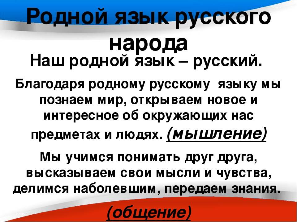 Родной русский язык седьмого класса. Мой родной язык русский доклад. Родной язык русского народа. Доклад о родном языке. Вывод о родном языке.